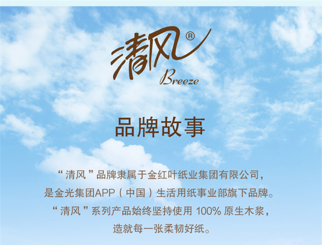 BR40AQ_12.1.jpg
